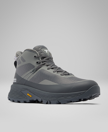 Grey men's shoe